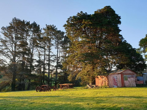 Sutton Forest Cottage - Holiday Byron Bay 5