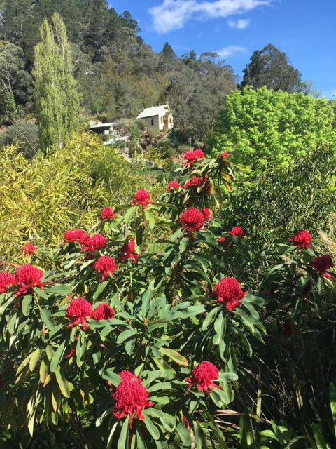 Stringers Cottage - Holiday Byron Bay 1