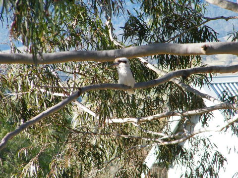 St Peters Fairview - Holiday Byron Bay 1