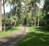Cape Trib Farmstay