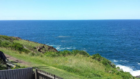 Sea Whispers - Holiday Byron Bay 2