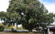 Alkira Motel - thumb 2