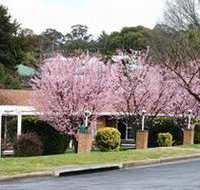 White Lanterns Motel - Holiday Byron Bay