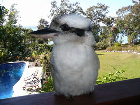 Yarrandabbi Dreaming Boutique B&B - Holiday Byron Bay 2