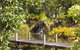 Cedar Park Rainforest Resort - thumb 0