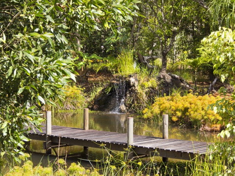 Cedar Park Rainforest Resort - Holiday Byron Bay 0