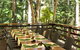 Cedar Park Rainforest Resort - thumb 3
