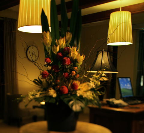 De Russie Boutique Hotel - Holiday Byron Bay 26
