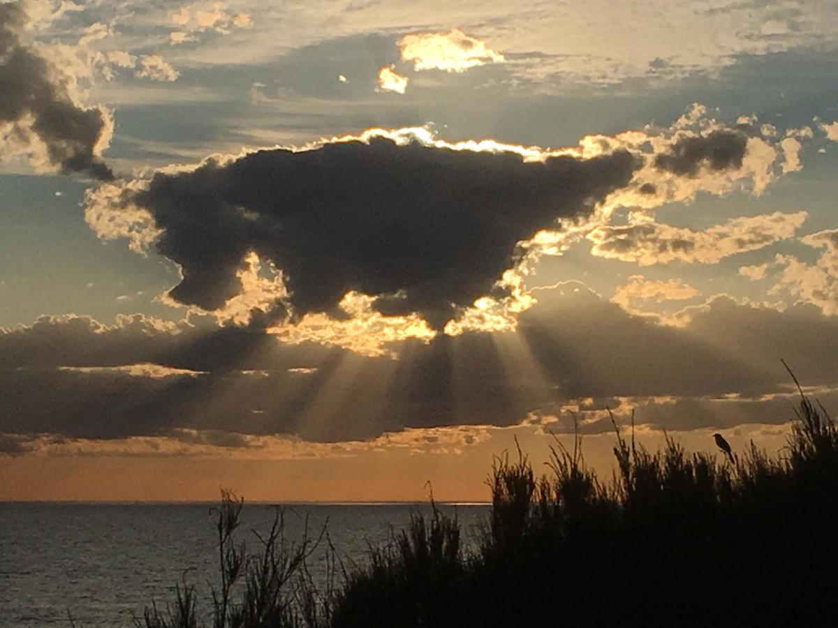  Holiday Byron Bay