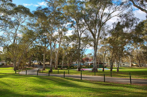 Discovery Parks - Clare - Holiday Byron Bay 19