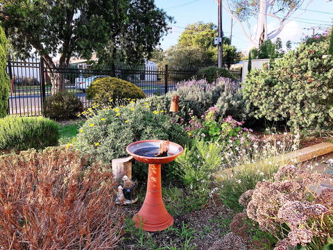Beautiful Garden House - Holiday Byron Bay 21