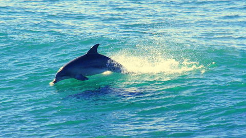 Mollymook Beach Waterfront - Holiday Byron Bay 22