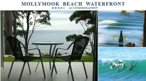 Mollymook Beach Waterfront - Holiday Byron Bay 1