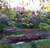 Frog Song at Willunga - Holiday Byron Bay