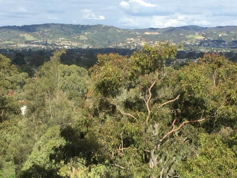 Tasha\'s Apartments On Warwick - Holiday Byron Bay 35