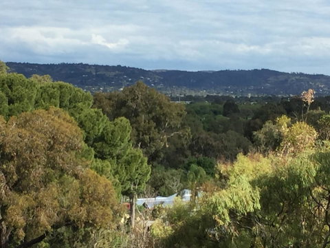Tasha\'s Apartments On Warwick - Holiday Byron Bay 33