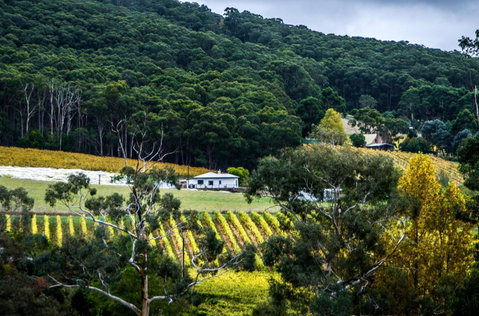 Esto House - Holiday Byron Bay 4