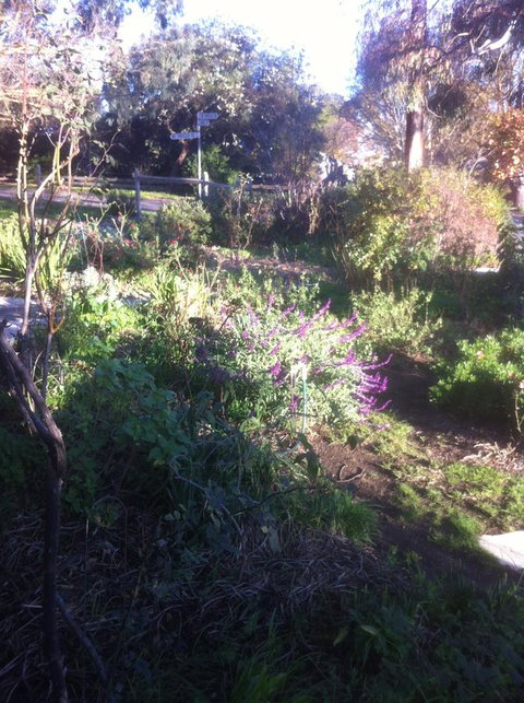 Hilltop Too - Holiday Byron Bay 12