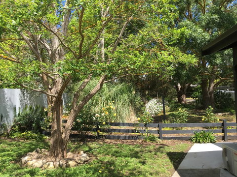 Hilltop Too - Holiday Byron Bay 7