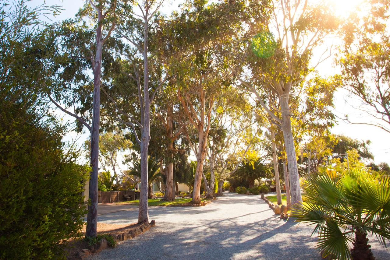  Holiday Byron Bay
