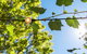 Adelaide Hills Retreats - thumb 32