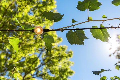 Adelaide Hills Retreats - Holiday Byron Bay 32