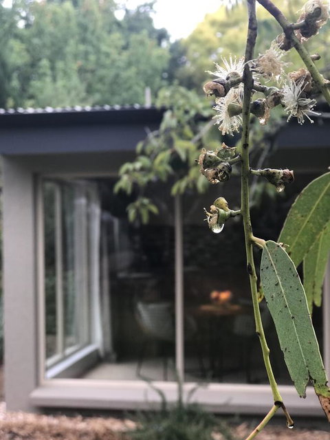 Adelaide Hills Retreats - Holiday Byron Bay 9