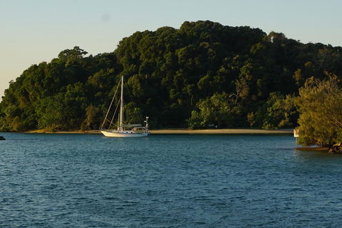 Brunswick Heads Treetop Studio - Holiday Byron Bay 9