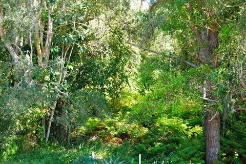 Brunswick Heads Treetop Studio - Holiday Byron Bay 20