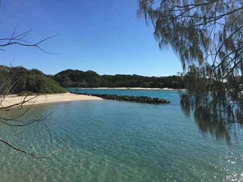 Brunswick Heads Treetop Studio - Holiday Byron Bay 22