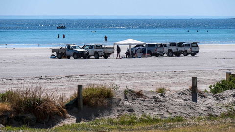 Wallaroo Holiday Park - Holiday Byron Bay 9