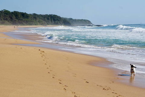 Culburra Beachhouse - Holiday Byron Bay 7