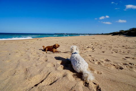Culburra Beachhouse - Holiday Byron Bay 8