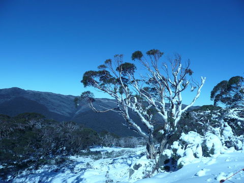 CHILL-OUT - Thredbo - Holiday Byron Bay 33