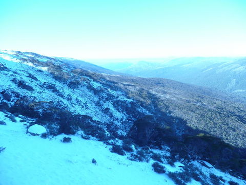 CHILL-OUT - Thredbo - Holiday Byron Bay 39