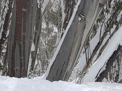 CHILL-OUT - Thredbo - Holiday Byron Bay 30