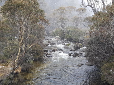 CHILL-OUT - Thredbo - Holiday Byron Bay 23