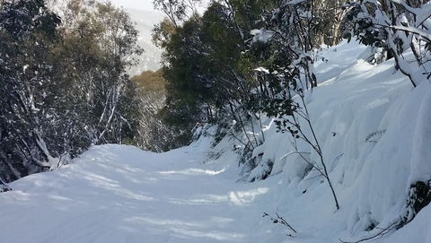 CHILL-OUT - Thredbo - Holiday Byron Bay 17