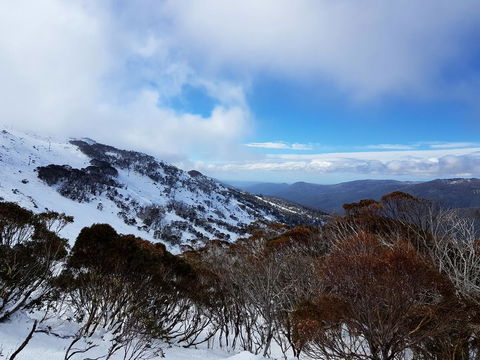 CHILL-OUT - Thredbo - Holiday Byron Bay 28