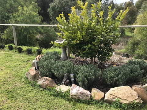 Adagio In Auburn - Holiday Byron Bay 18