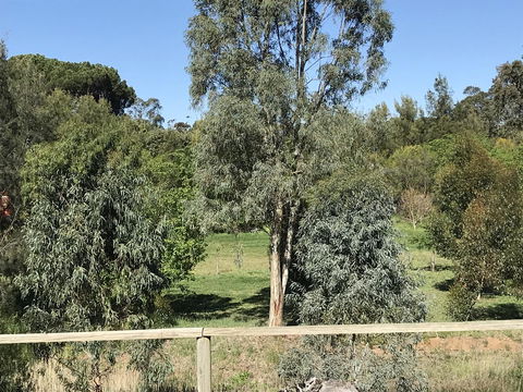 Adagio In Auburn - Holiday Byron Bay 25
