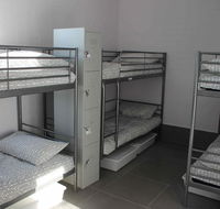 Koalas Perth City Backpackers Hostel - Holiday Byron Bay