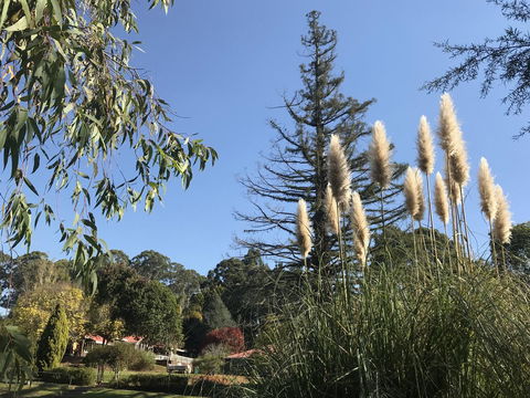 Forest Lodge Resort - Holiday Byron Bay 24