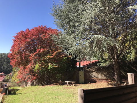 Forest Lodge Resort - Holiday Byron Bay 42