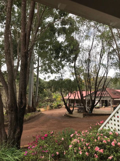 Forest Lodge Resort - Holiday Byron Bay 9