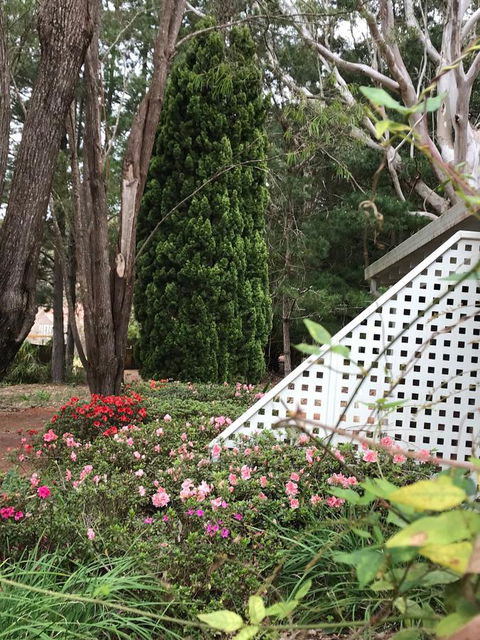 Forest Lodge Resort - Holiday Byron Bay 7