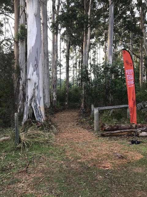 Forest Lodge Resort - Holiday Byron Bay 28