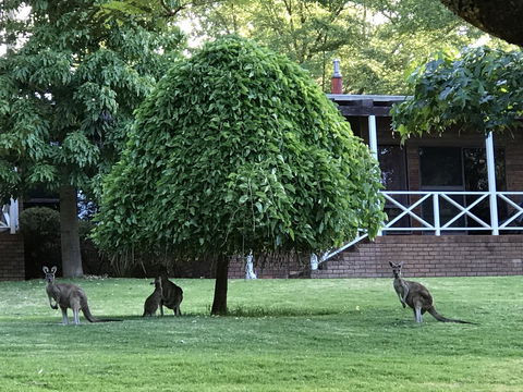 Forest Lodge Resort - Holiday Byron Bay 1