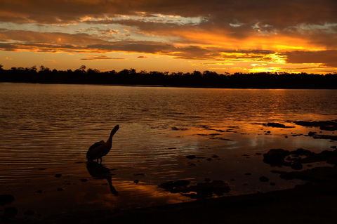 Dungowan Holiday Accommodation - Holiday Byron Bay 31