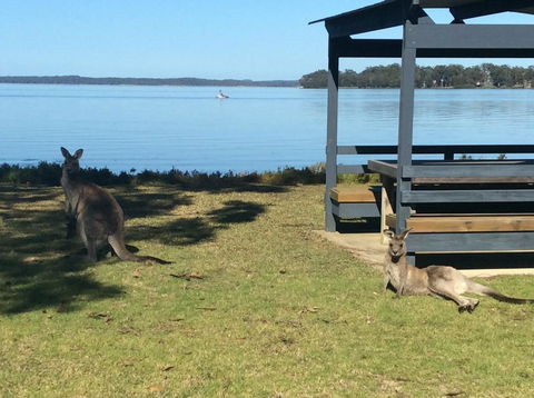 Dungowan Holiday Accommodation - Holiday Byron Bay 33